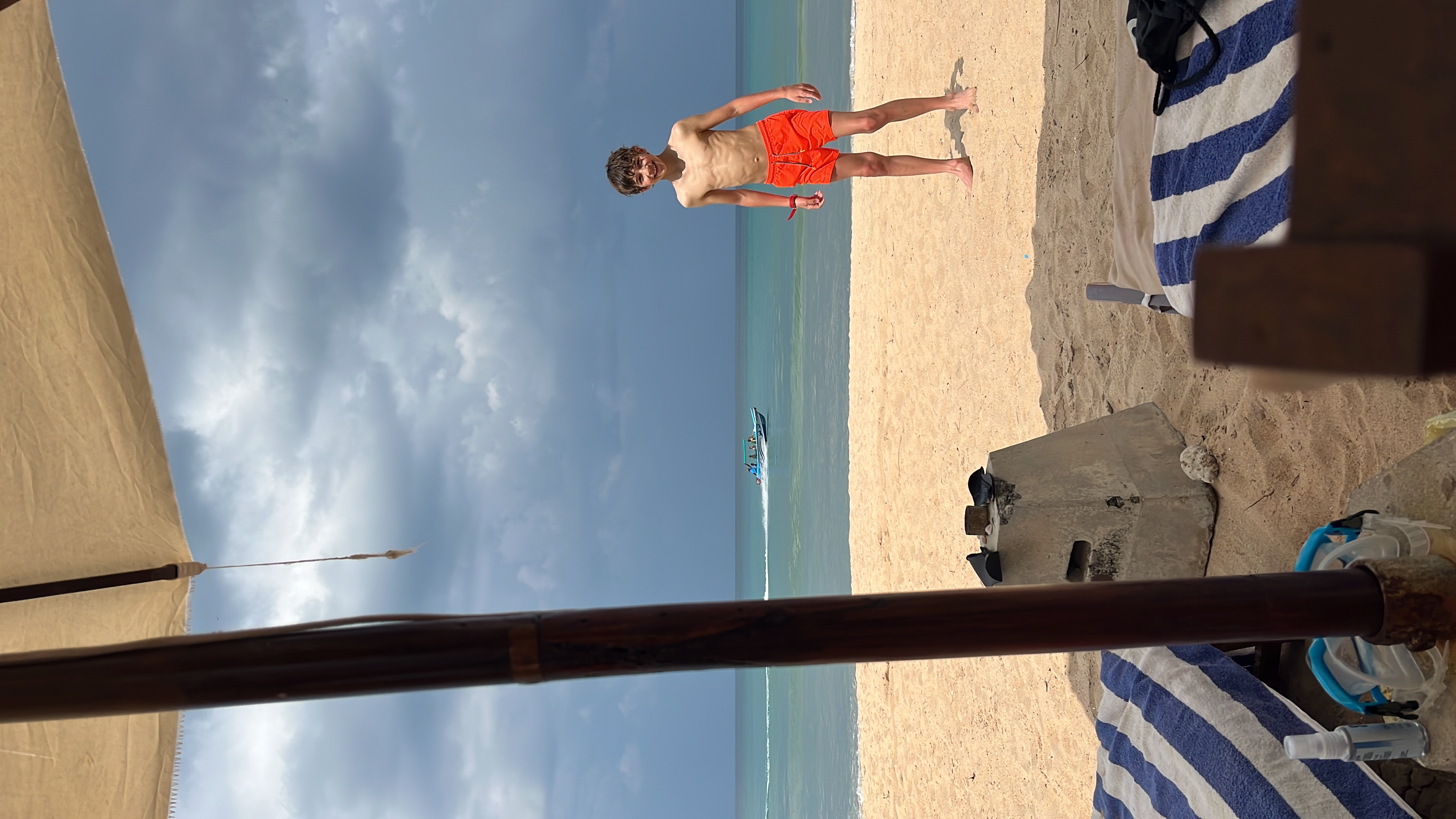 Helpdeschildpadmeenaarzee