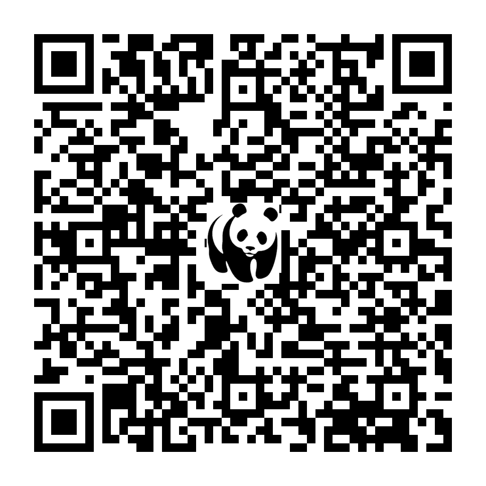 Scan deze QR-code om te doneren (vernieuw de pagina als je geen QR-code ziet)