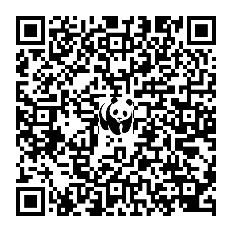 Scan deze QR-code om te doneren (vernieuw de pagina als je geen QR-code ziet)