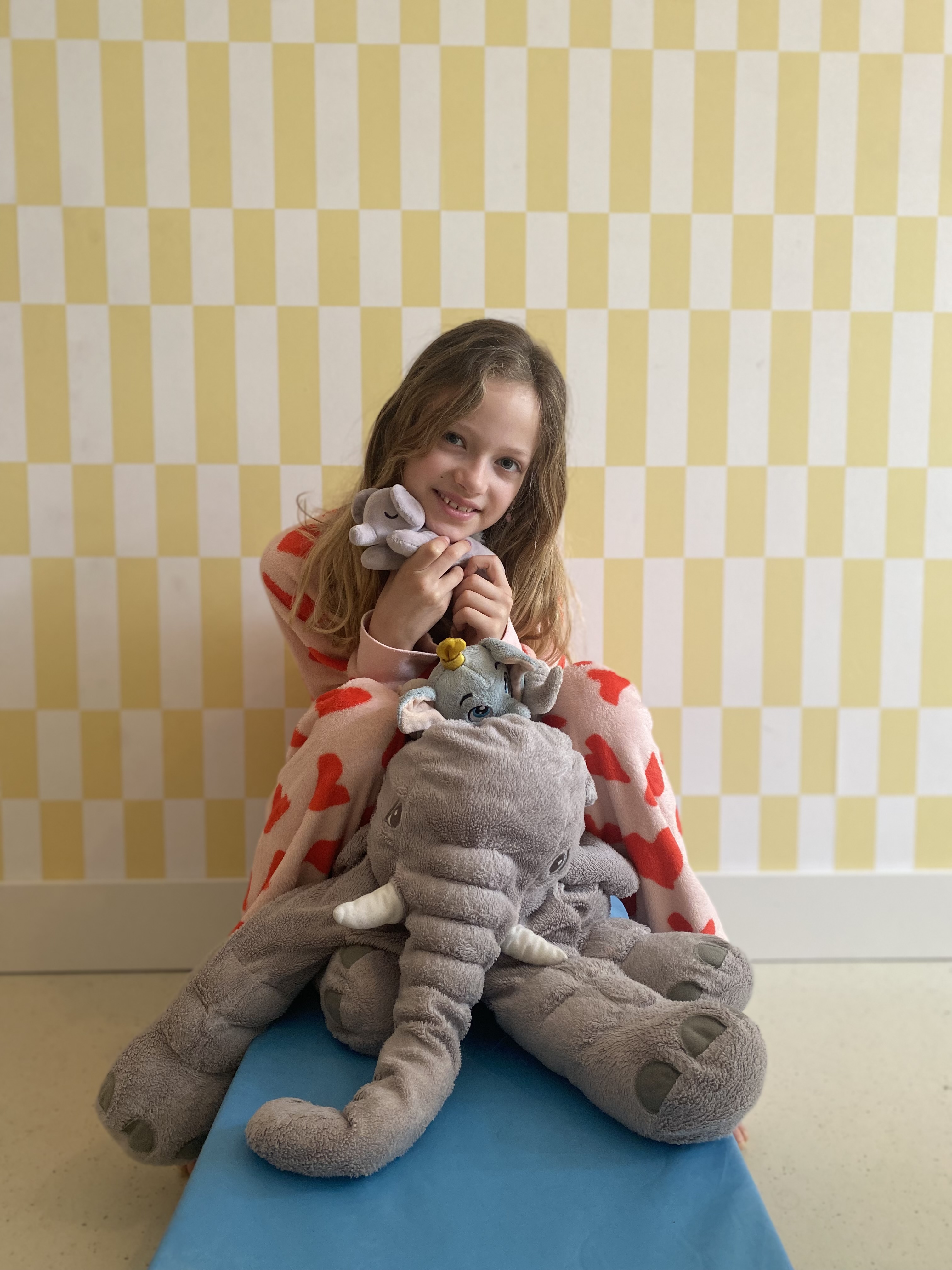 Linne redt de bosolifant