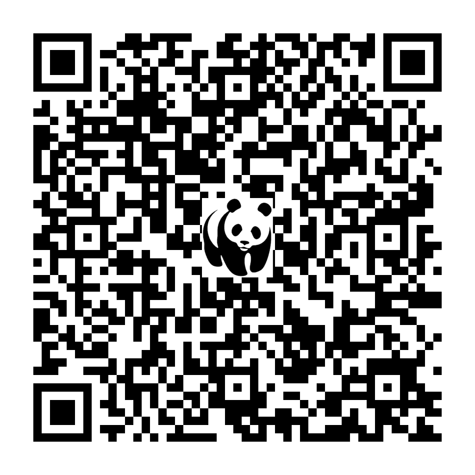 Scan deze QR-code om te doneren (vernieuw de pagina als je geen QR-code ziet)