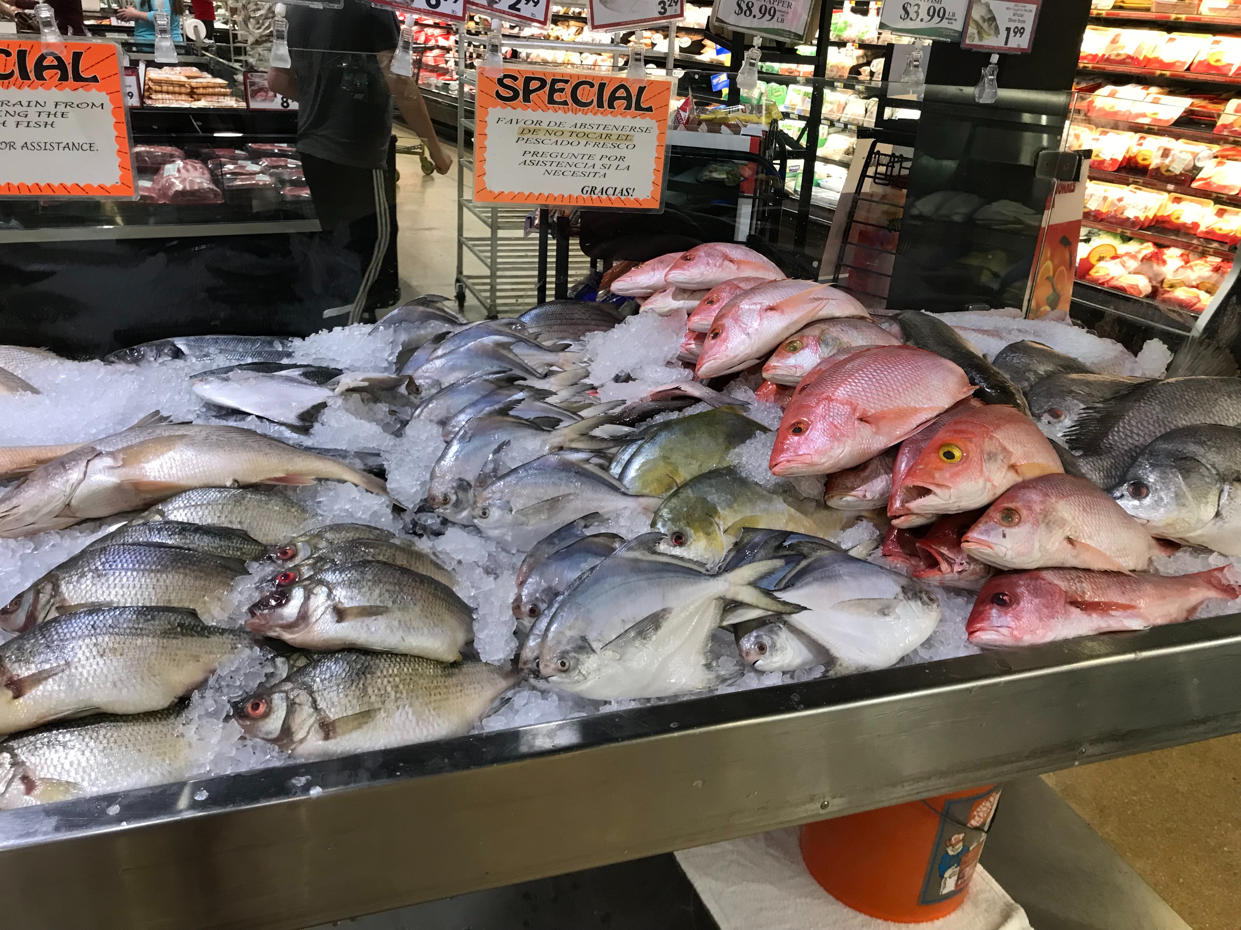 verschillende soorten vis liggen op ijs in een supermarkt