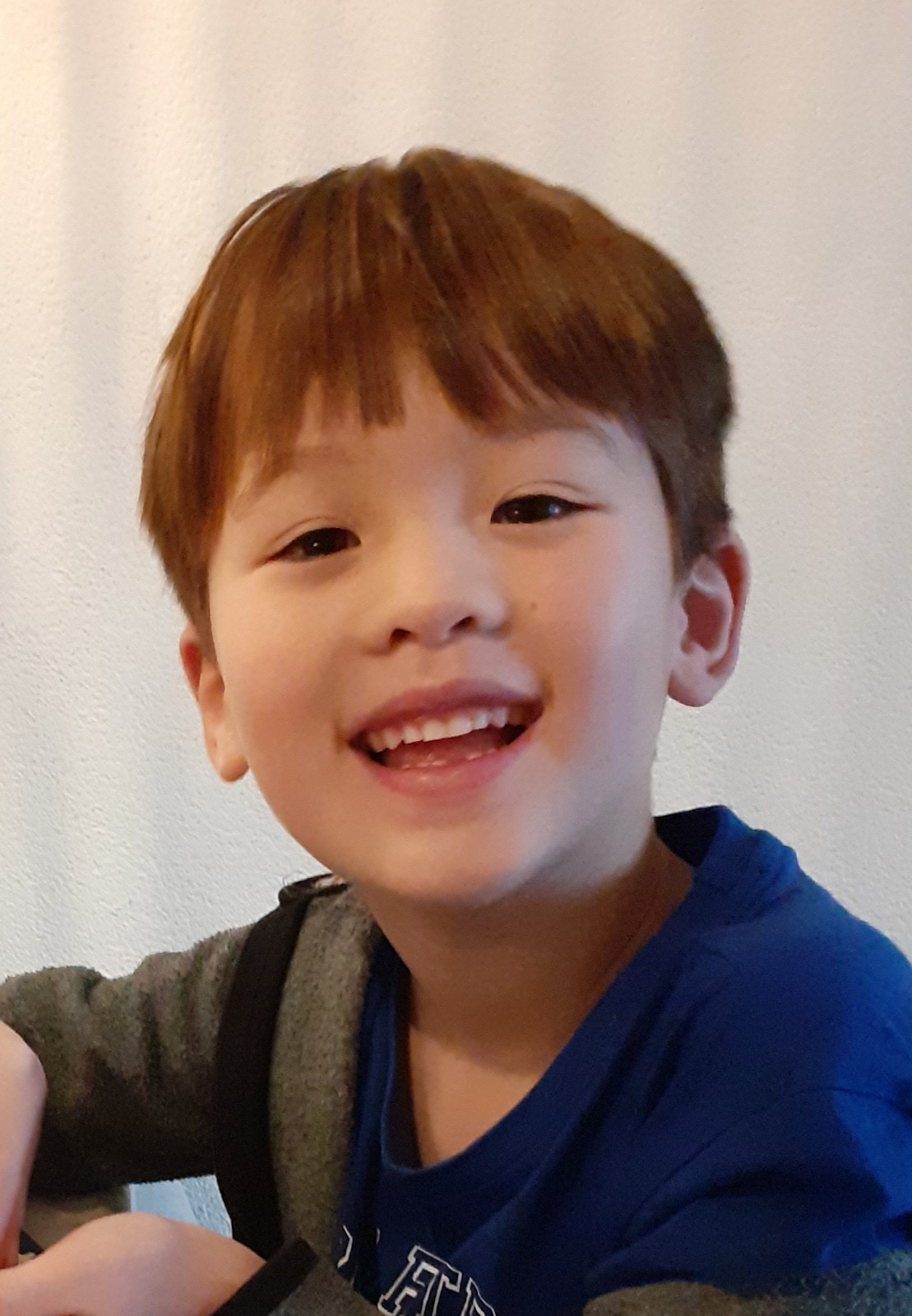 Help de zeeschildpad