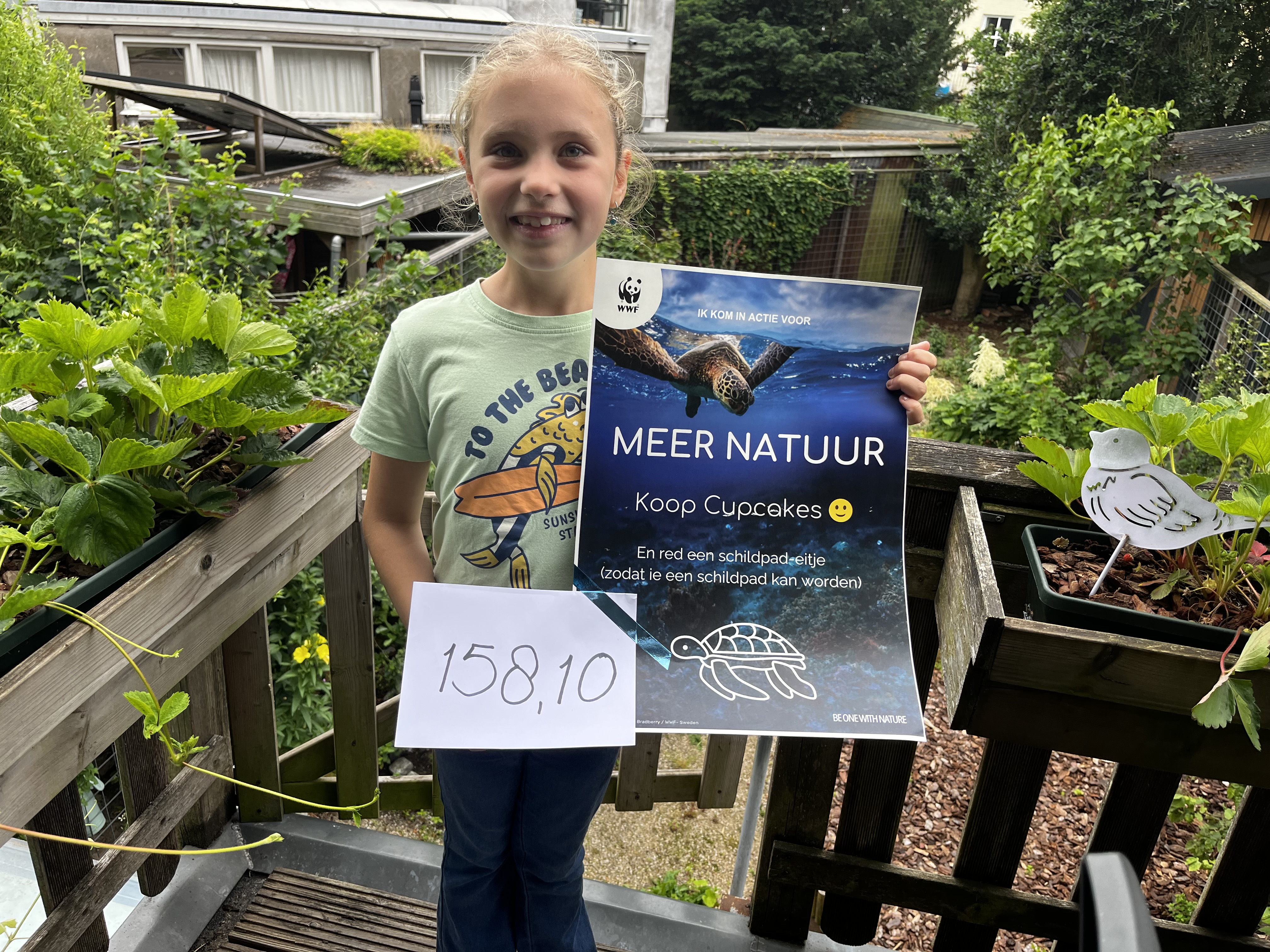 Help de schildpadden