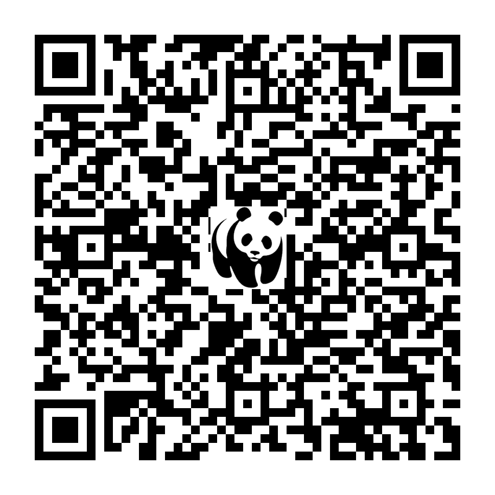 Scan deze QR-code om te doneren (vernieuw de pagina als je geen QR-code ziet)