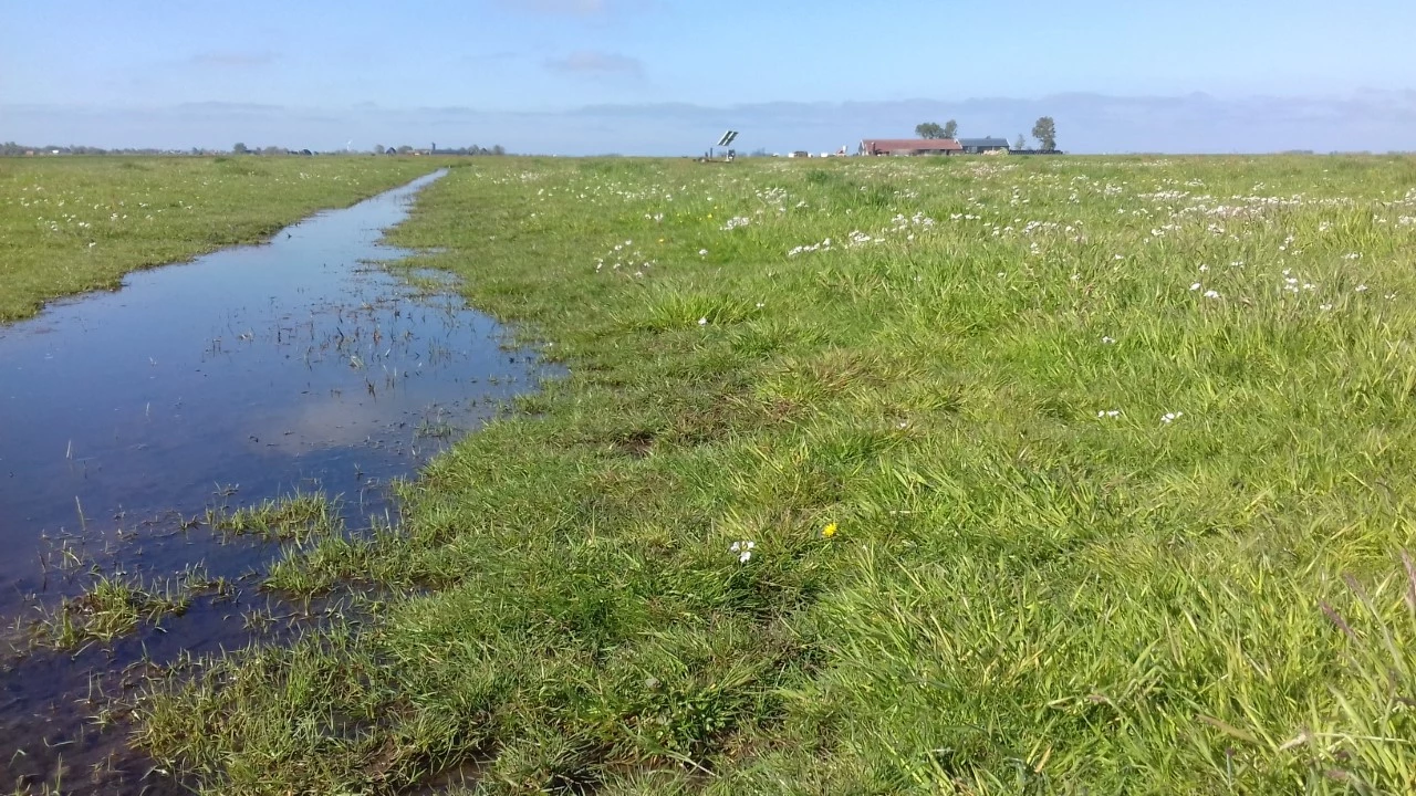 Een plasdras in It Heidenskip