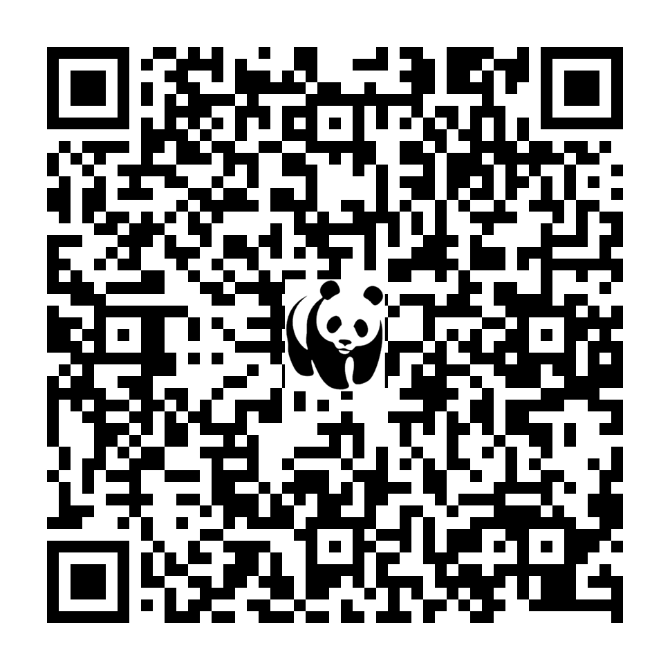 Scan deze QR-code om te doneren (vernieuw de pagina als je geen QR-code ziet)