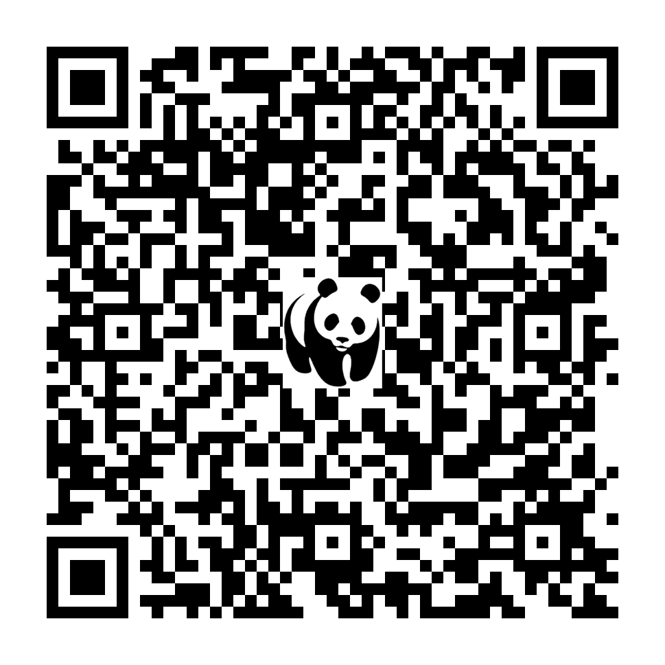 Scan deze QR-code om te doneren (vernieuw de pagina als je geen QR-code ziet)