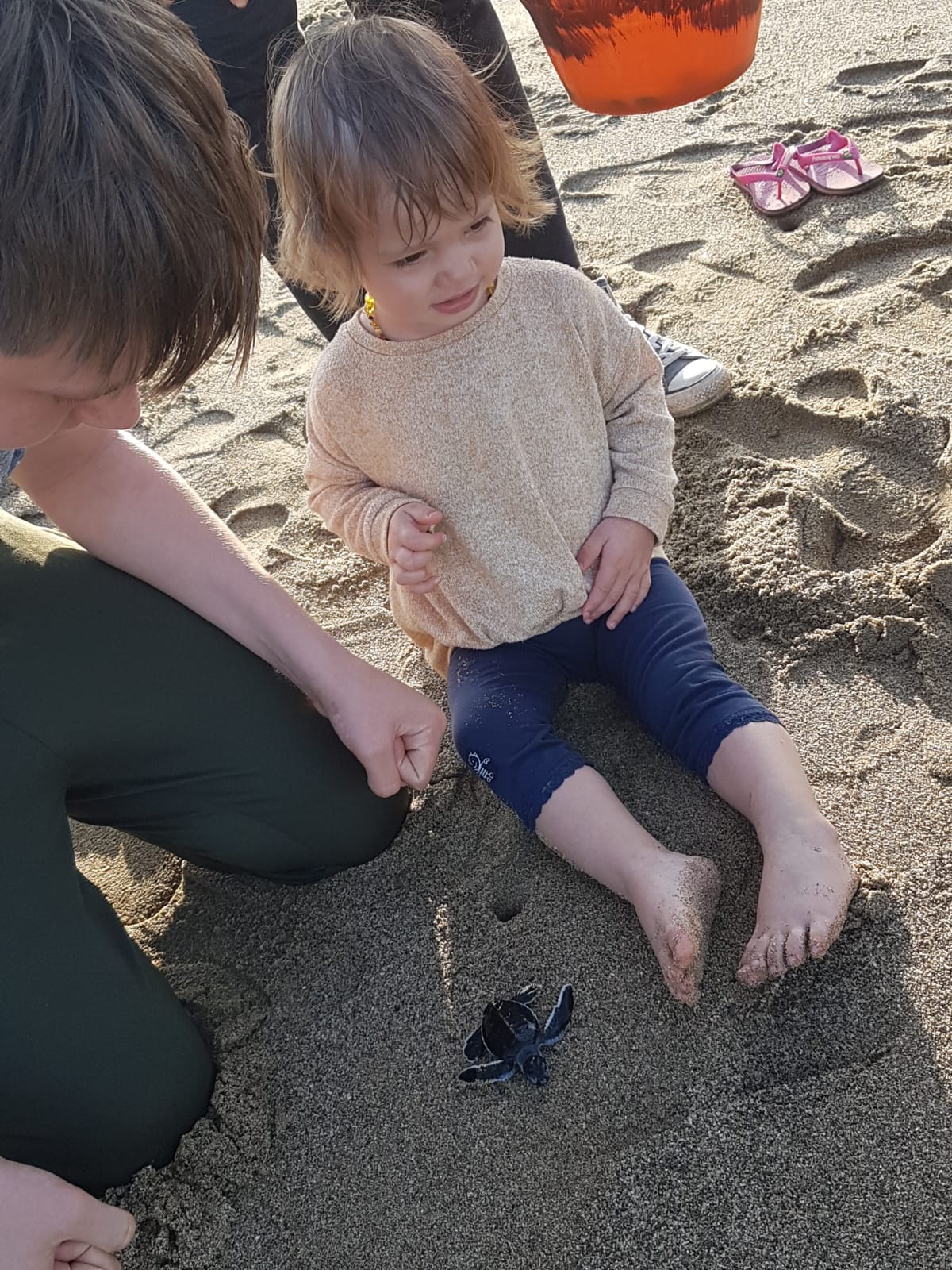 Julia schildpaddenactie