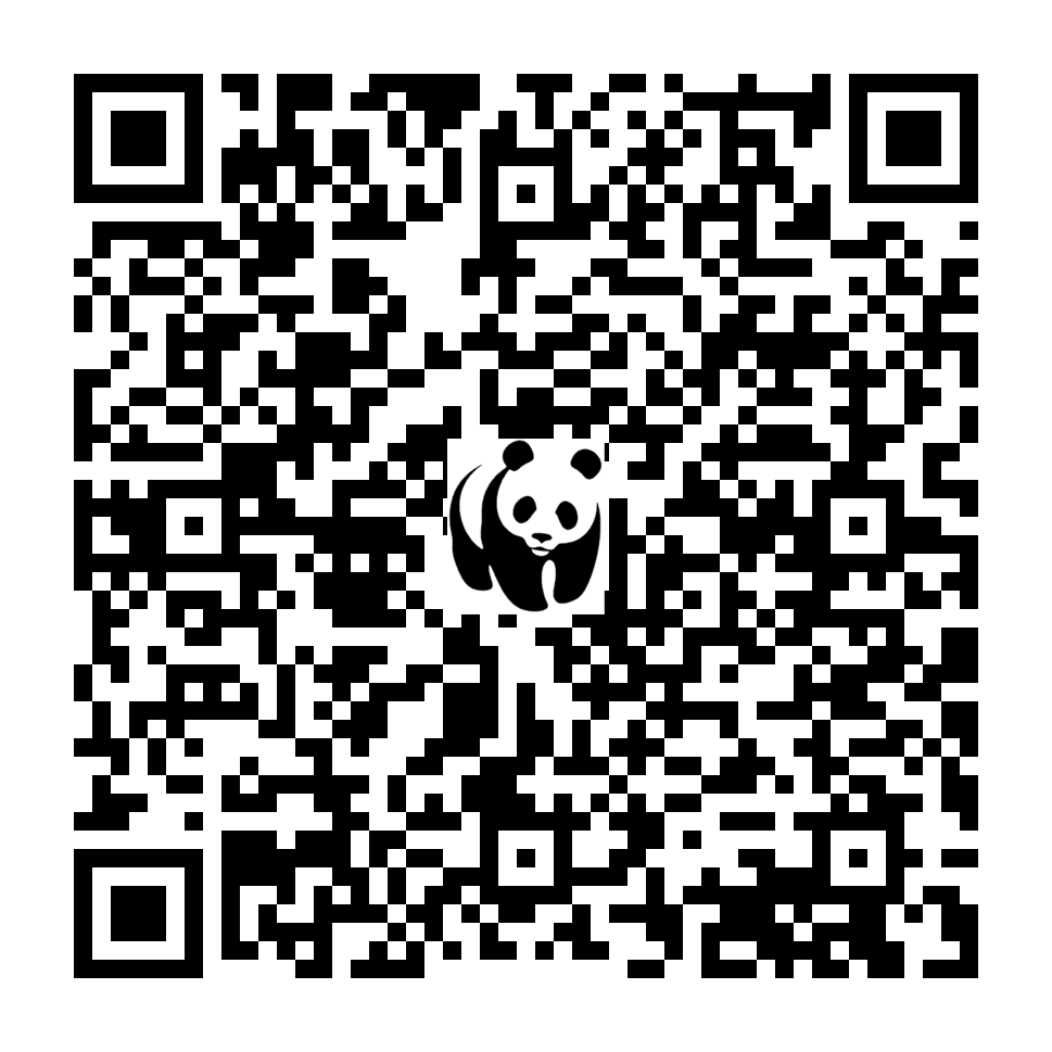 Scan deze QR-code om te doneren (vernieuw de pagina als je geen QR-code ziet)