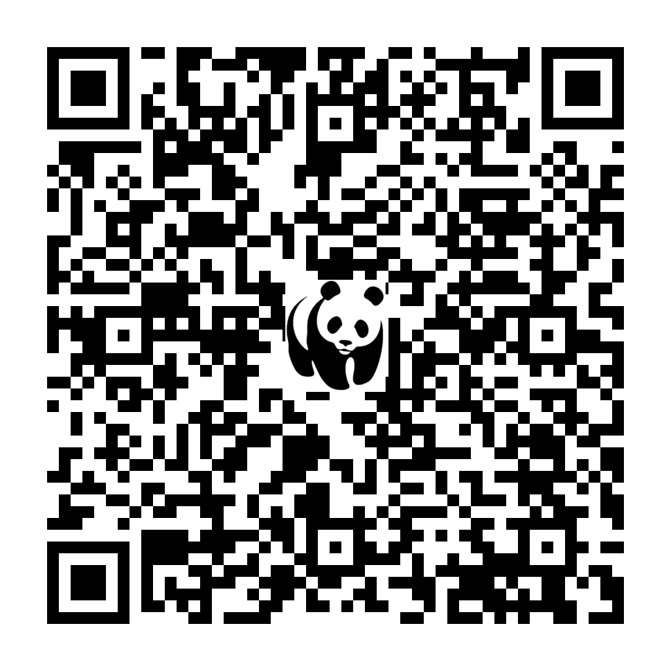 Scan deze QR-code om te doneren (vernieuw de pagina als je geen QR-code ziet)