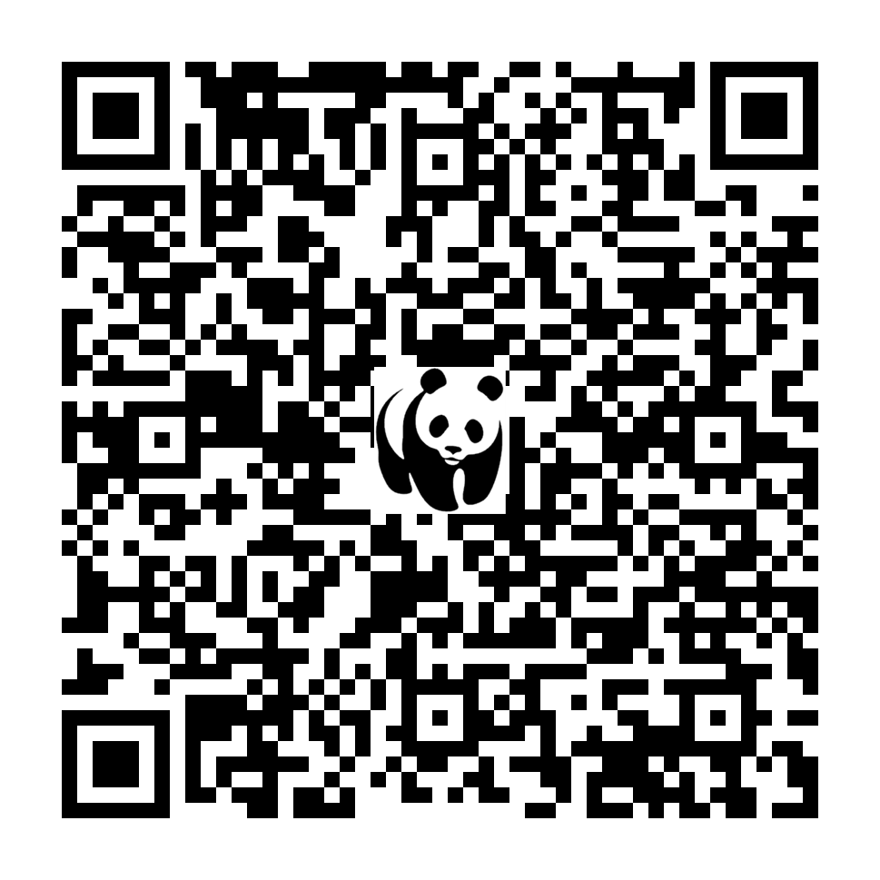 Scan deze QR-code om te doneren (vernieuw de pagina als je geen QR-code ziet)