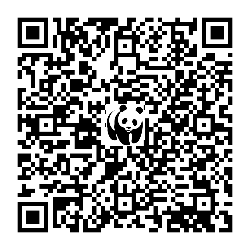 Scan deze QR-code om te doneren (vernieuw de pagina als je geen QR-code ziet)