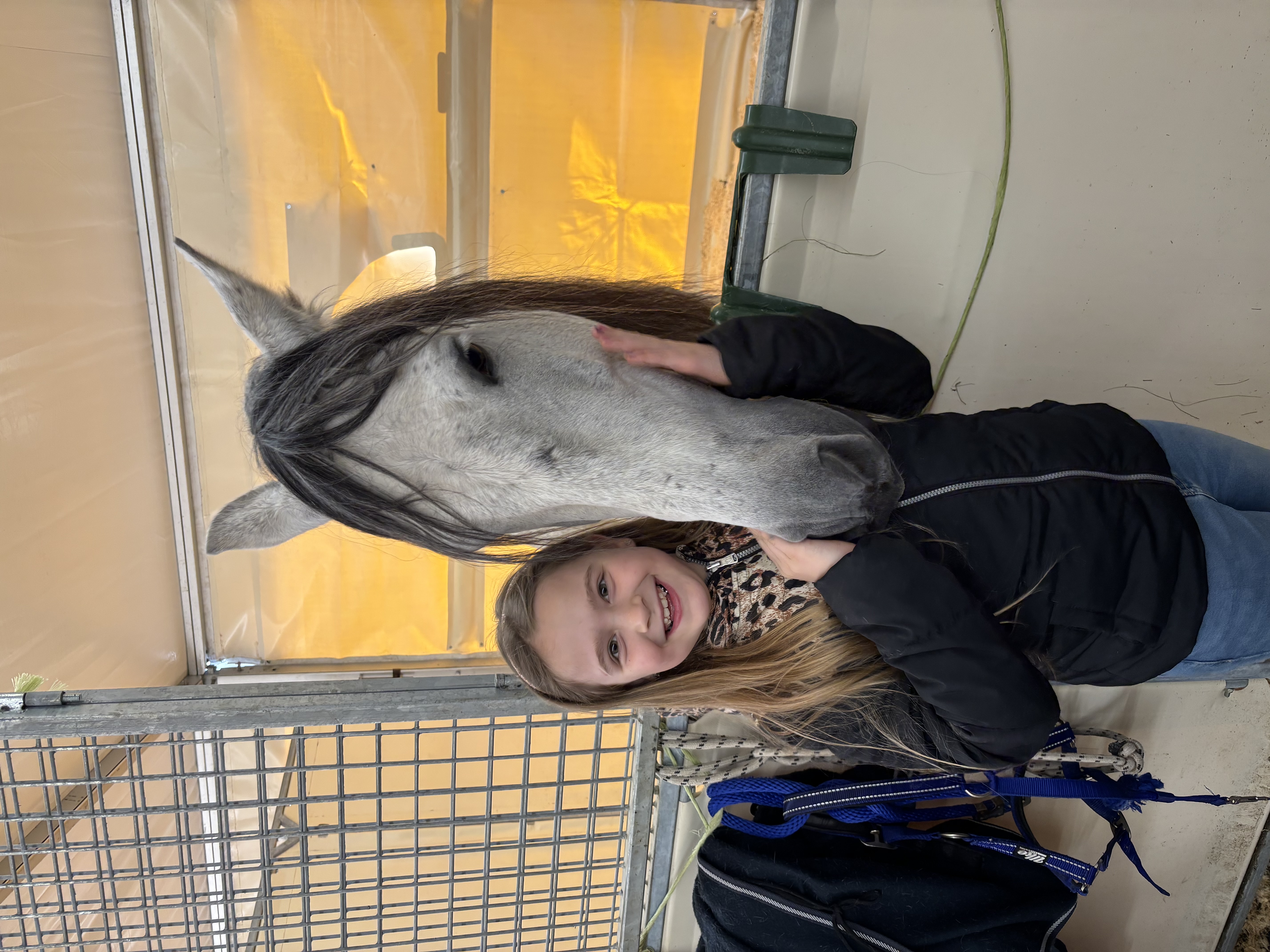 Red de schildpad babys