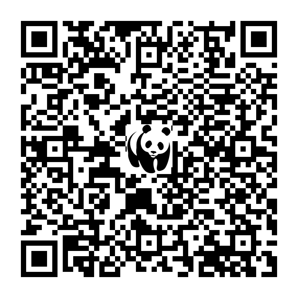 Scan deze QR-code om te doneren (vernieuw de pagina als je geen QR-code ziet)