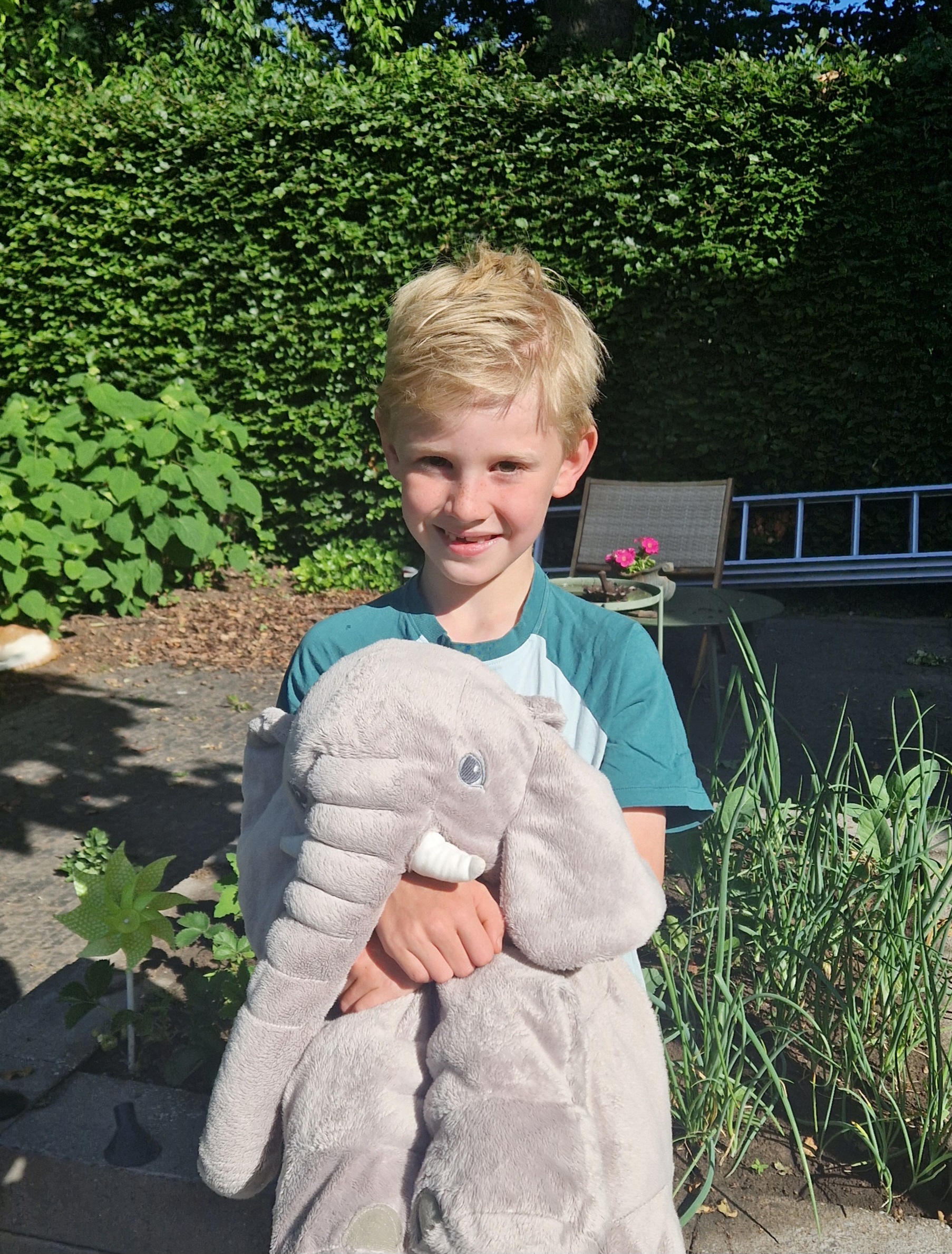 Joep helpt de olifanten