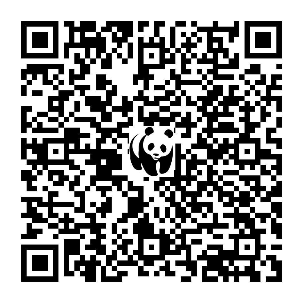 Scan deze QR-code om te doneren (vernieuw de pagina als je geen QR-code ziet)