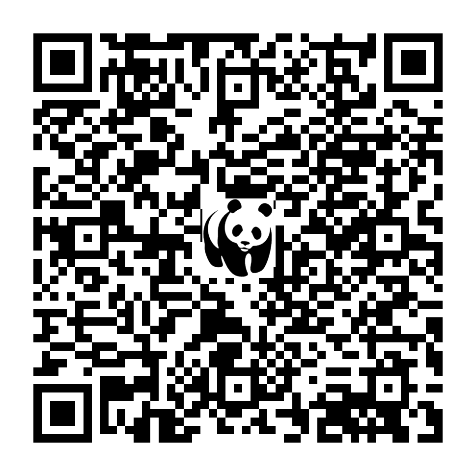 Scan deze QR-code om te doneren (vernieuw de pagina als je geen QR-code ziet)