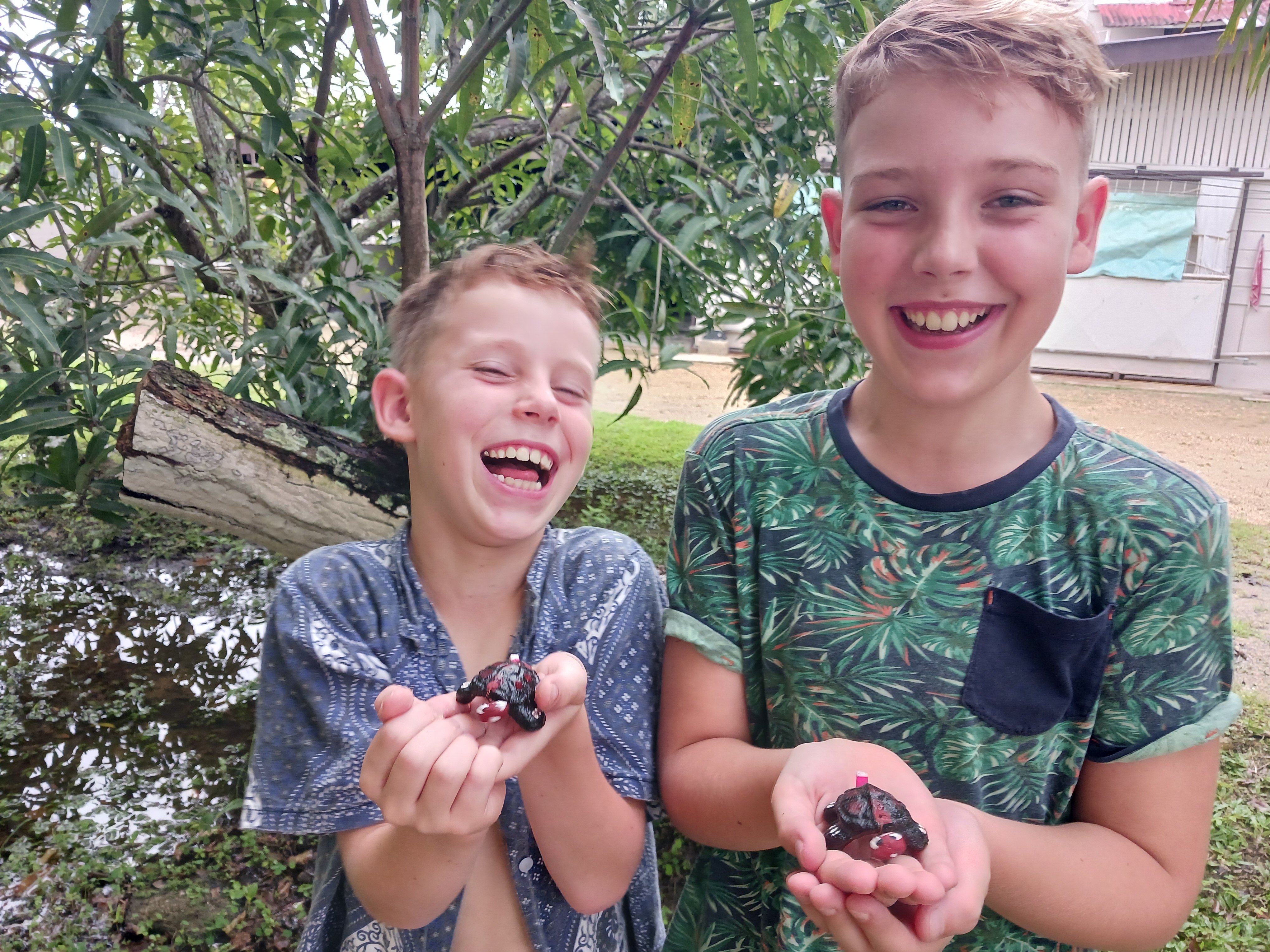 Schoon schildpaddenstrand