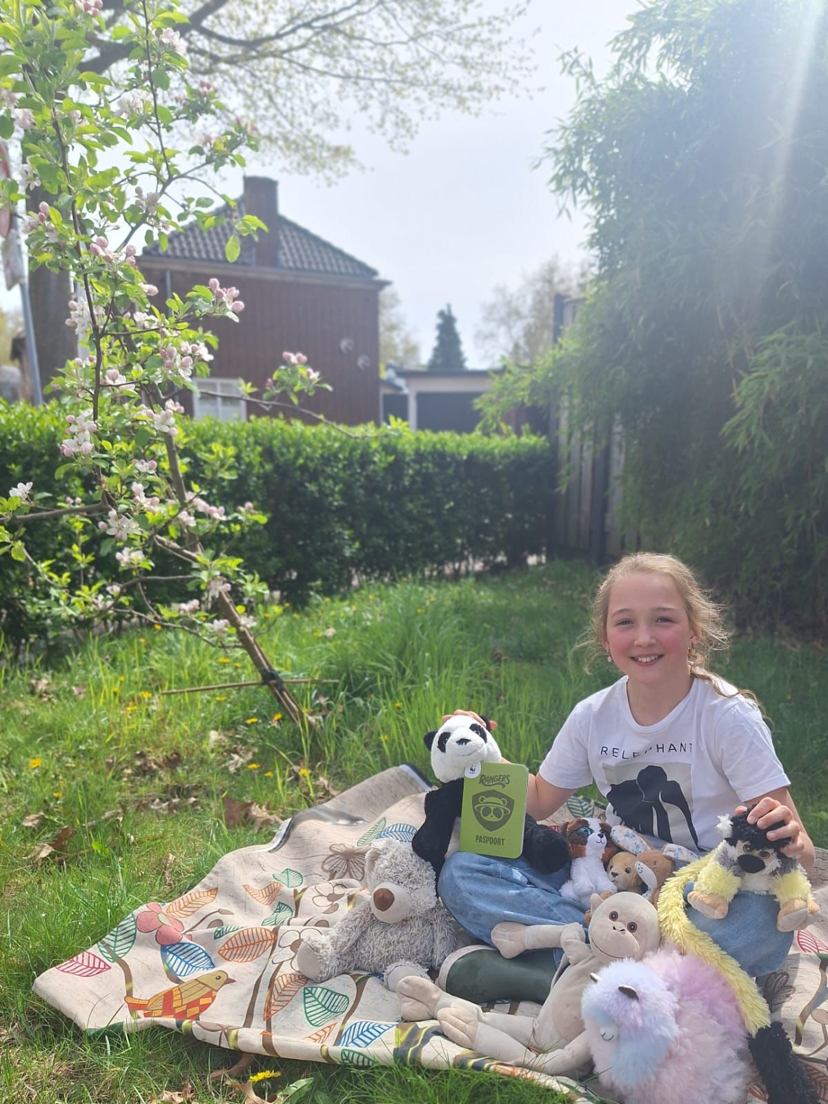 Saxa helpt de olifanten