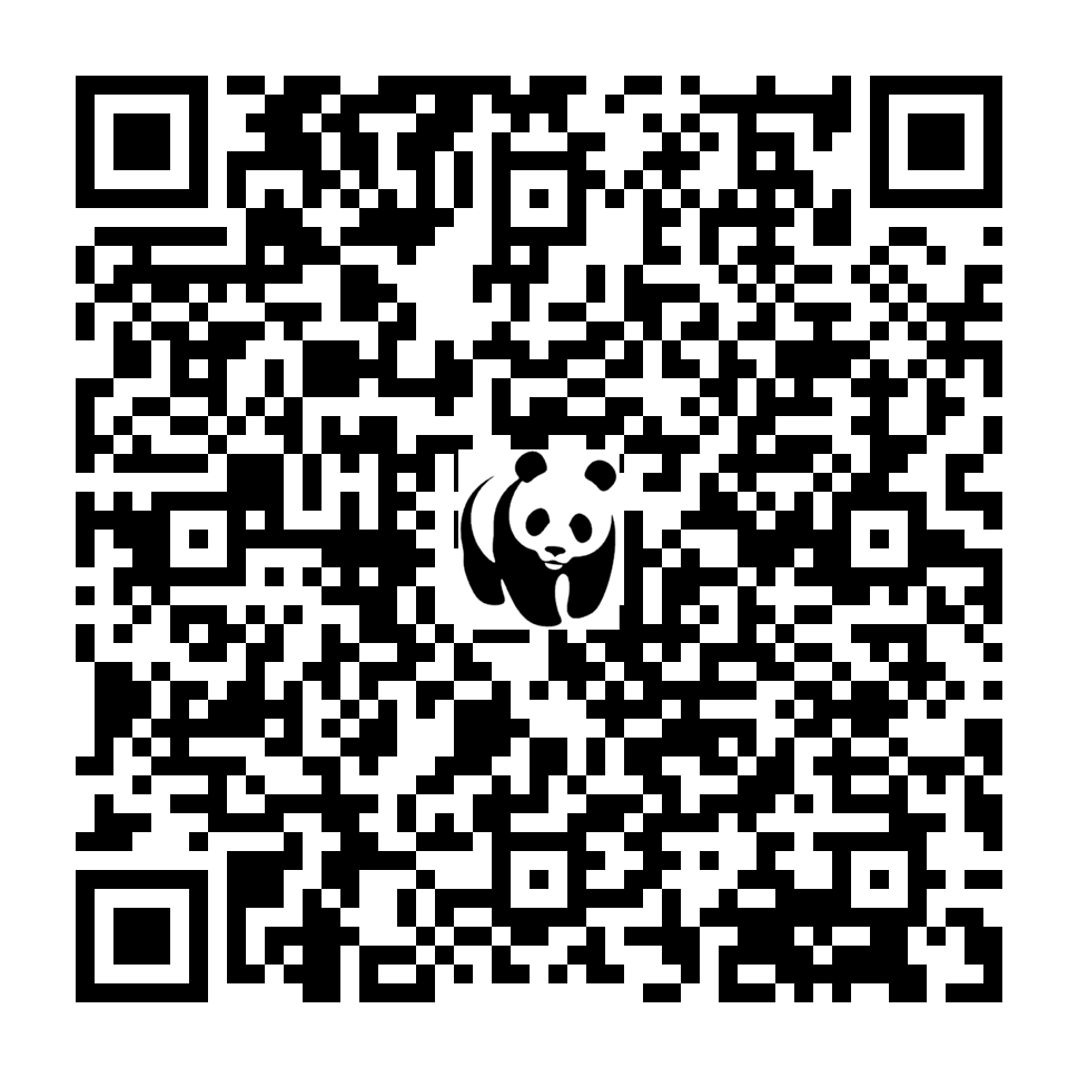 Scan deze QR-code om te doneren (vernieuw de pagina als je geen QR-code ziet)