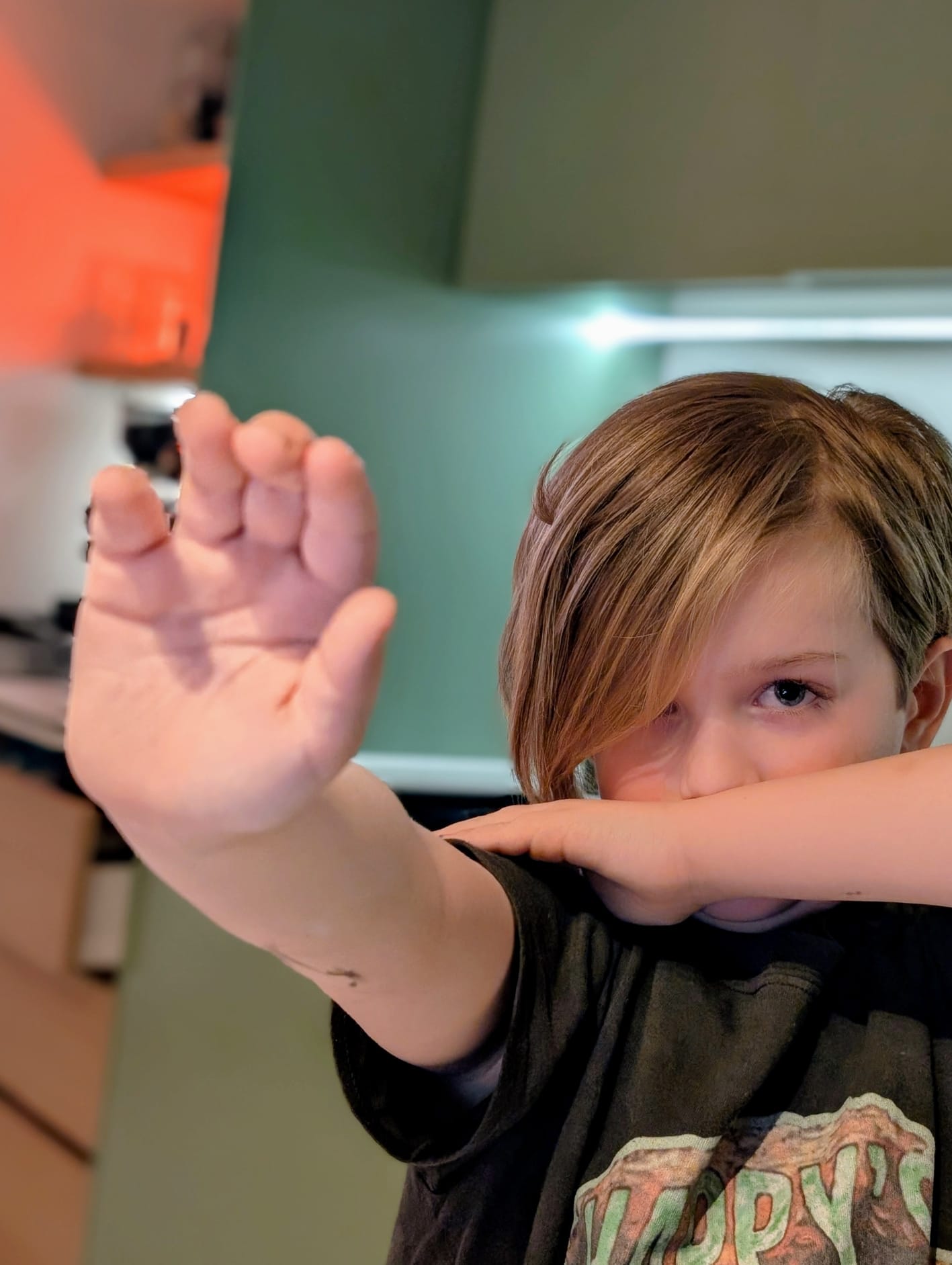 Raaf redt de Olifant