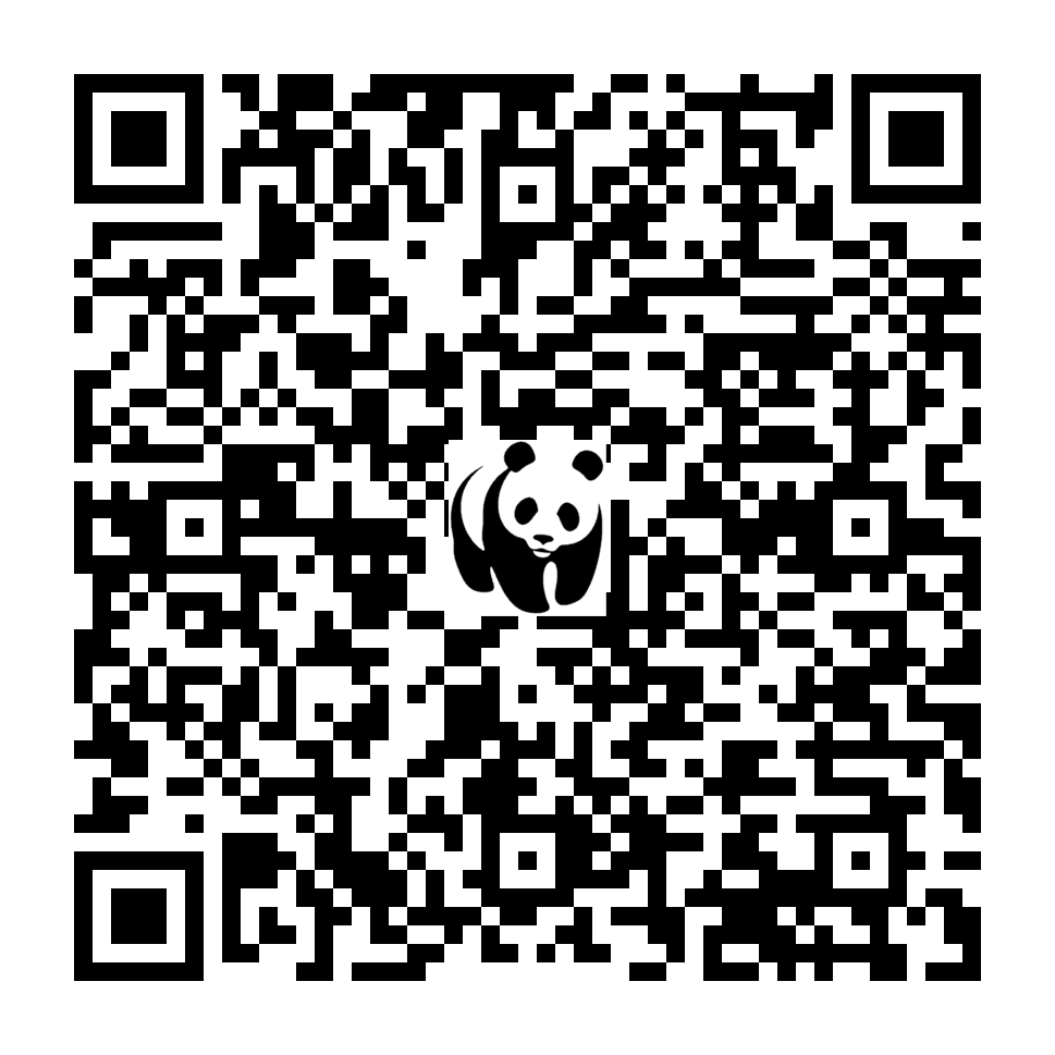 Scan deze QR-code om te doneren (vernieuw de pagina als je geen QR-code ziet)