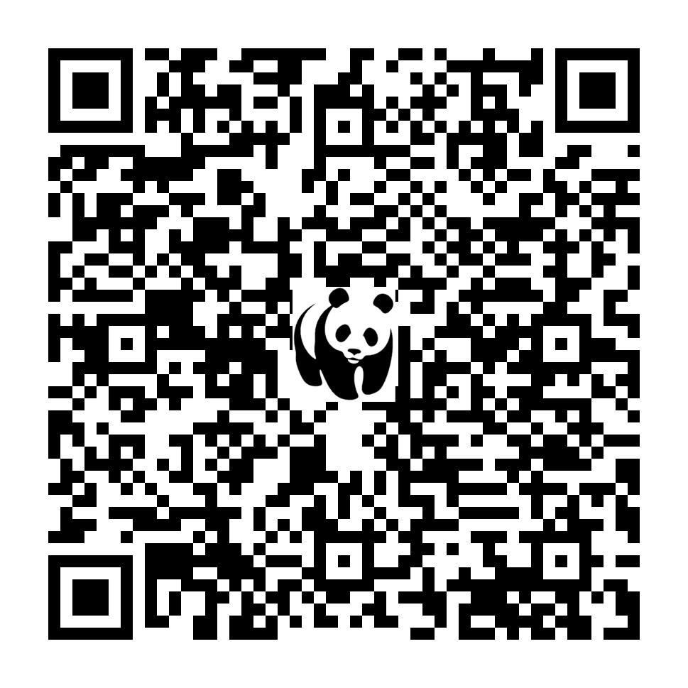 Scan deze QR-code om te doneren (vernieuw de pagina als je geen QR-code ziet)