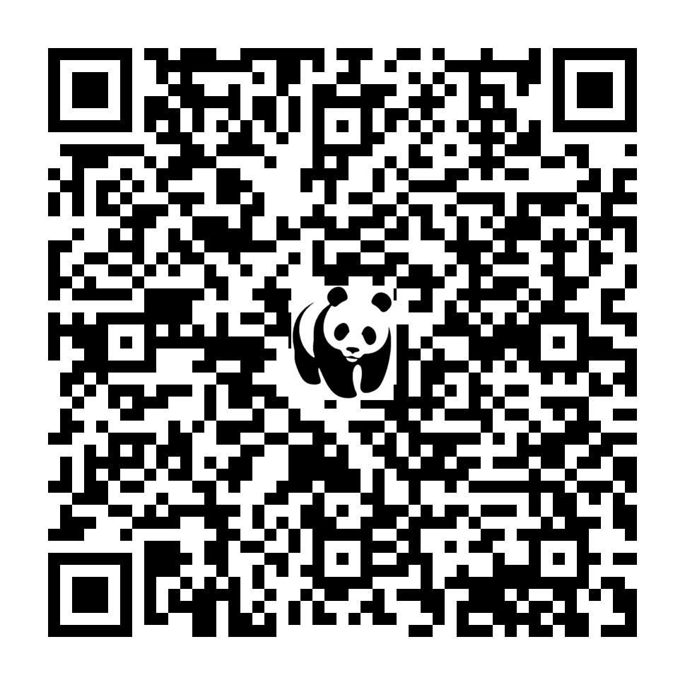 Scan deze QR-code om te doneren (vernieuw de pagina als je geen QR-code ziet)