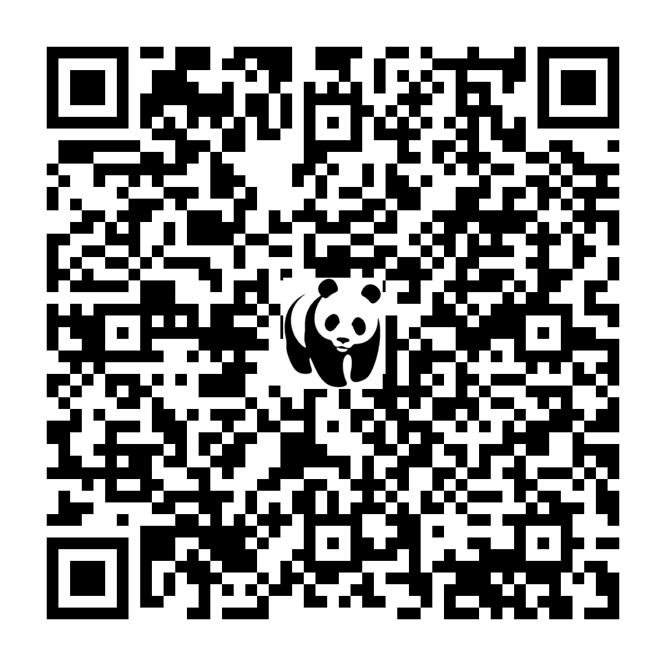 Scan deze QR-code om te doneren (vernieuw de pagina als je geen QR-code ziet)
