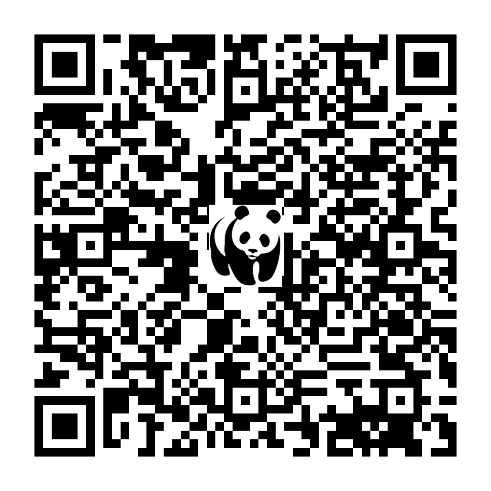 Scan deze QR-code om te doneren (vernieuw de pagina als je geen QR-code ziet)