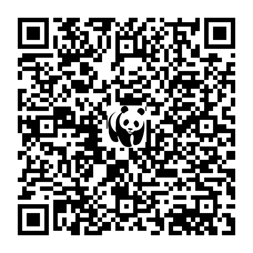Scan deze QR-code om te doneren (vernieuw de pagina als je geen QR-code ziet)