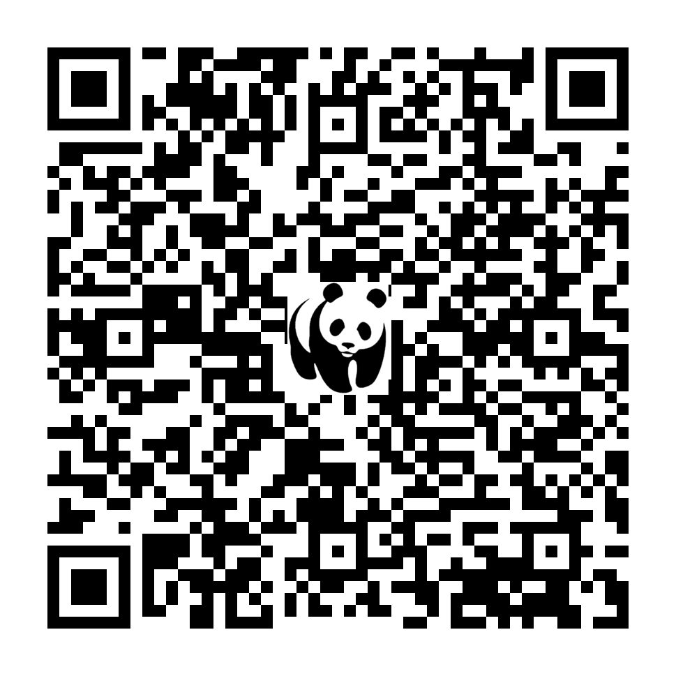 Scan deze QR-code om te doneren (vernieuw de pagina als je geen QR-code ziet)