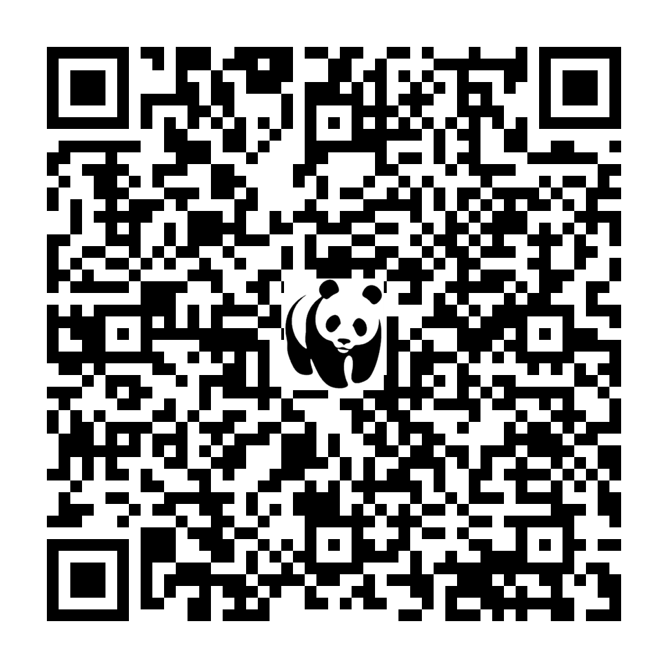 Scan deze QR-code om te doneren (vernieuw de pagina als je geen QR-code ziet)