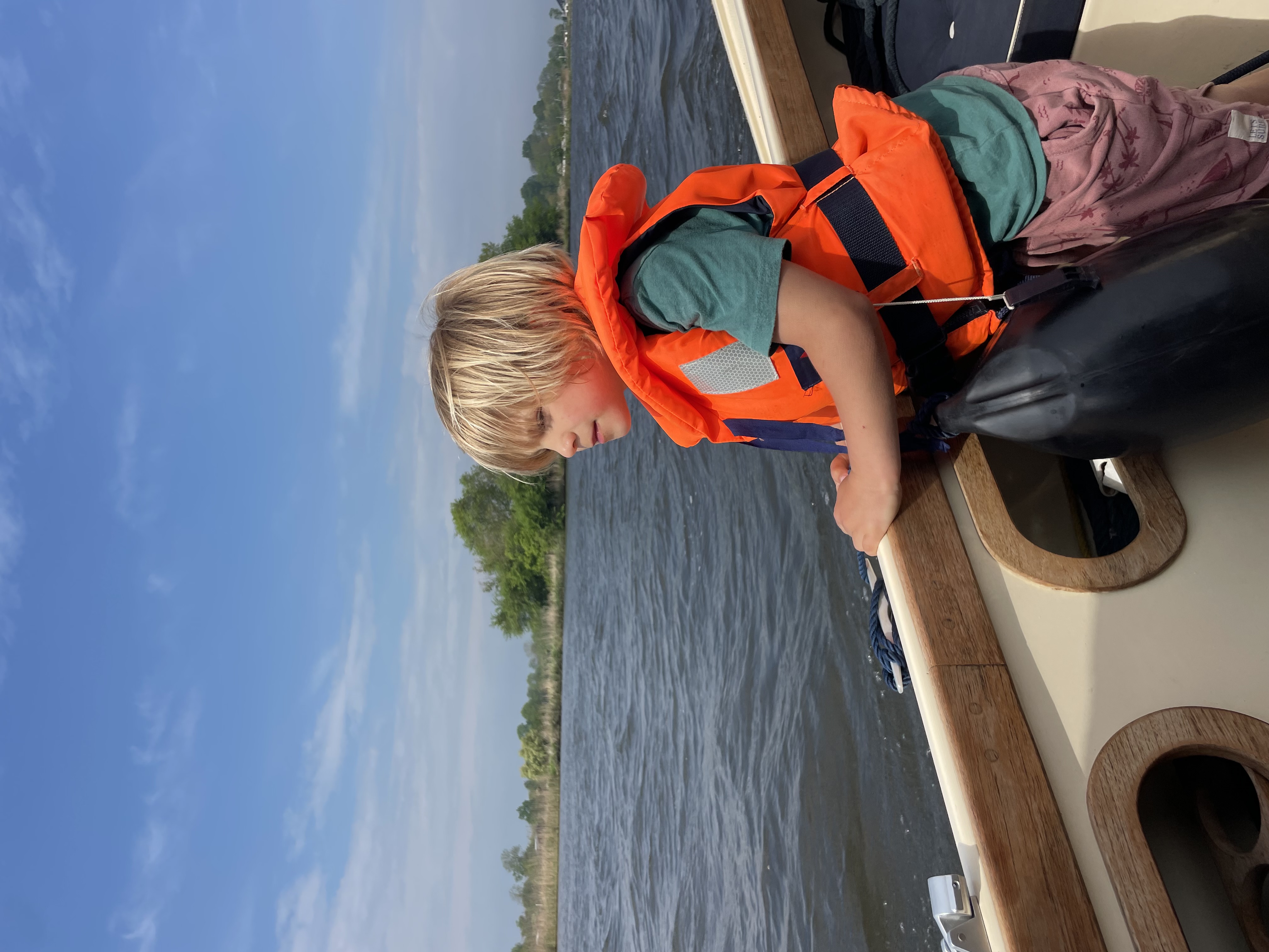 Aeb red schildpadden