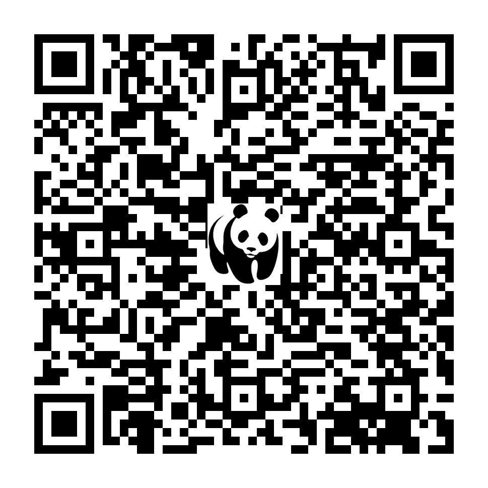 Scan deze QR-code om te doneren (vernieuw de pagina als je geen QR-code ziet)
