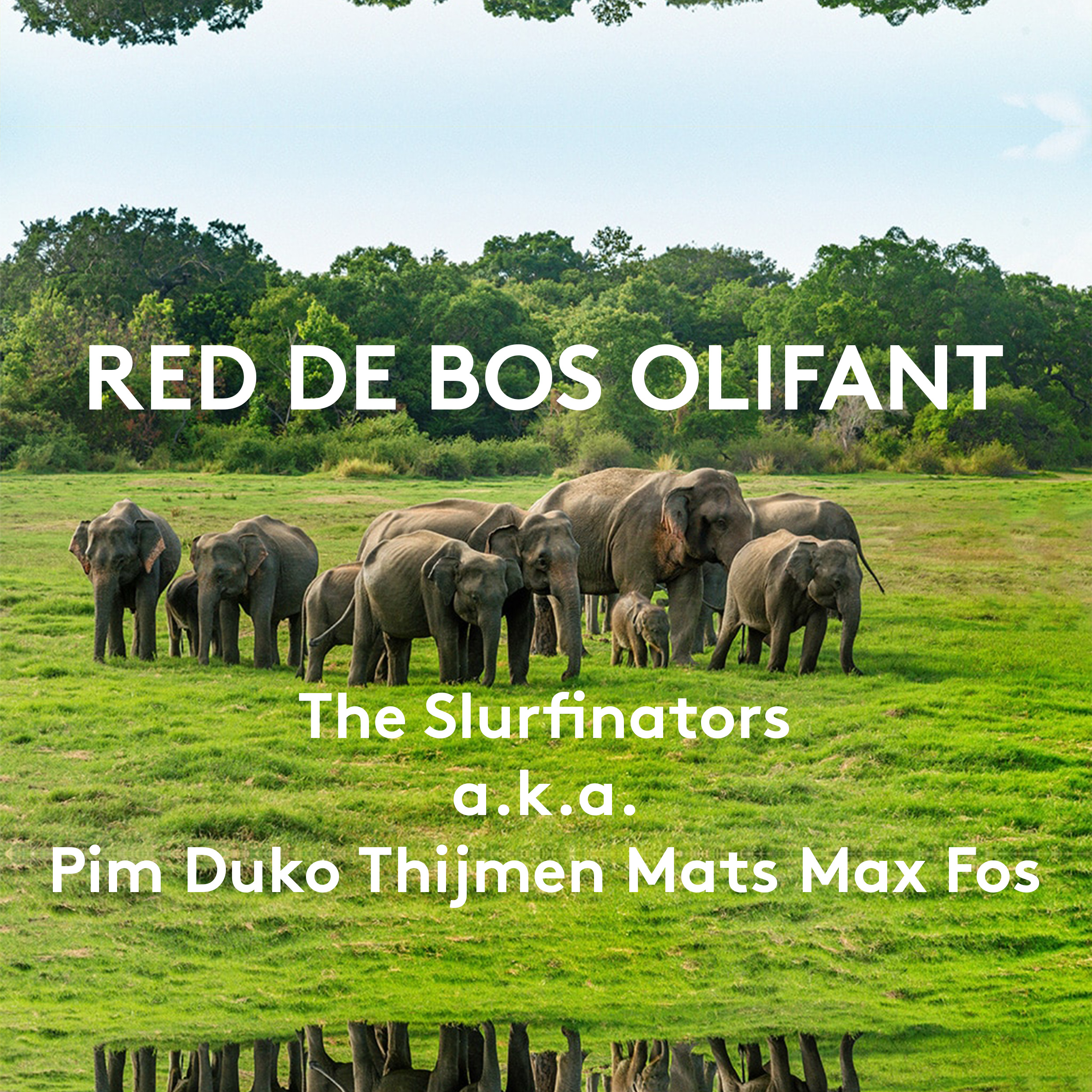 Red de Olifant