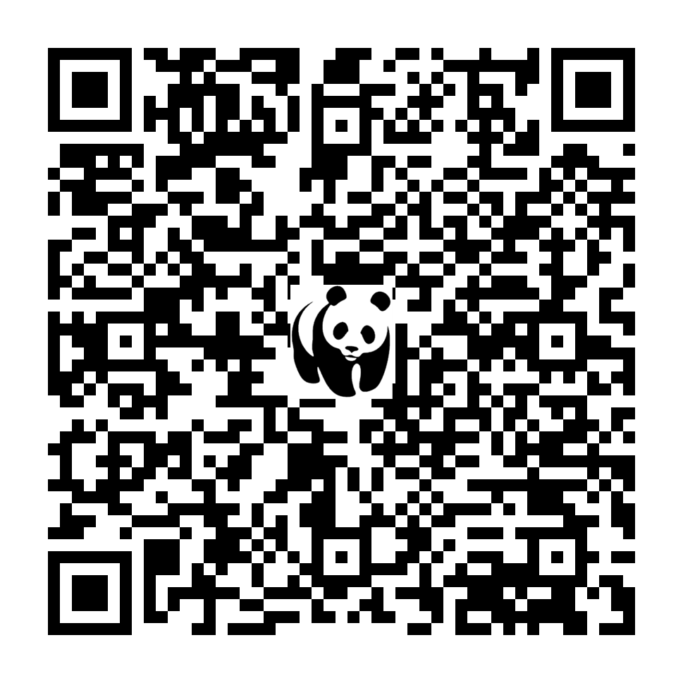 Scan deze QR-code om te doneren (vernieuw de pagina als je geen QR-code ziet)