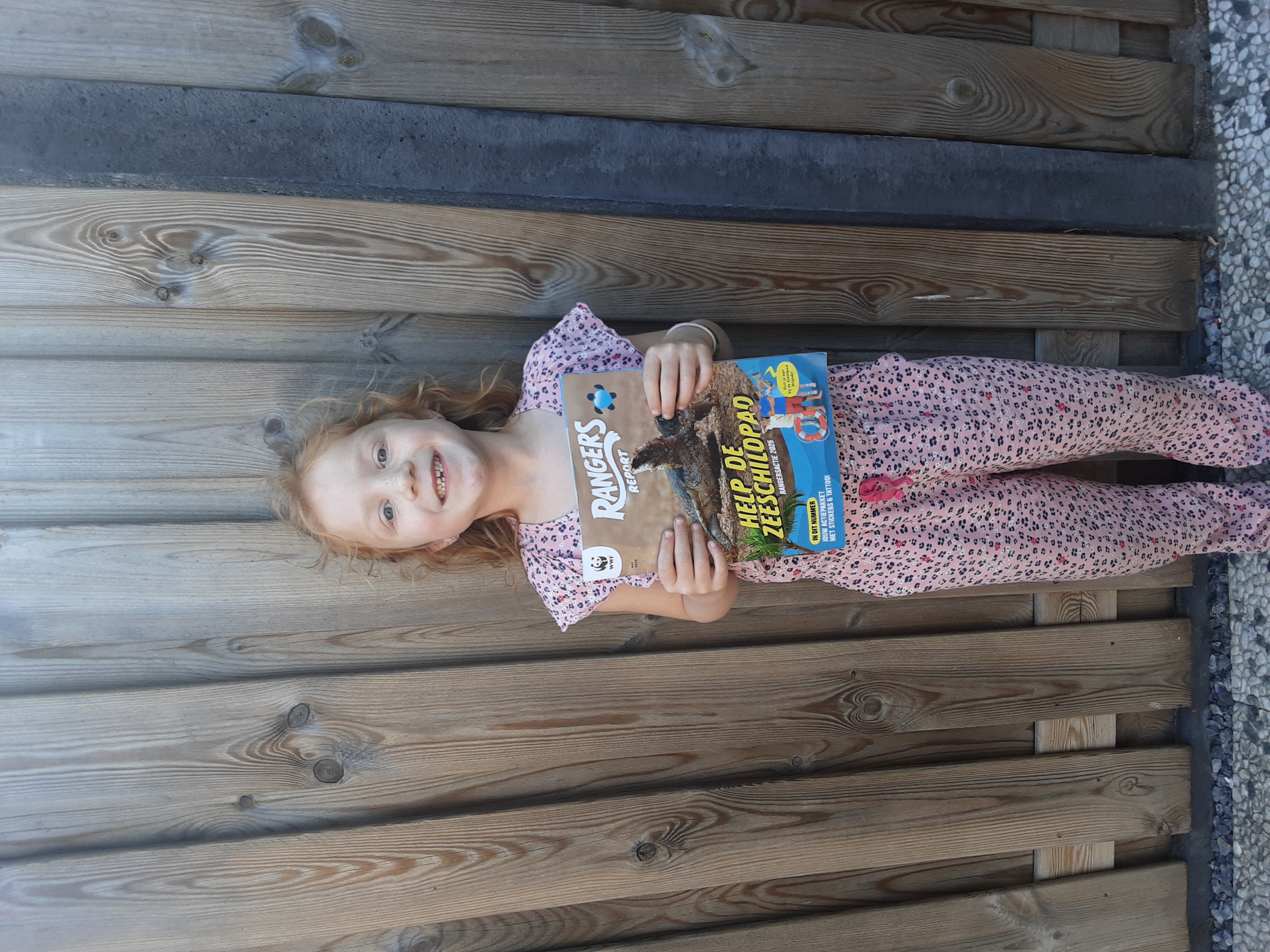 De zeeschildpadredder