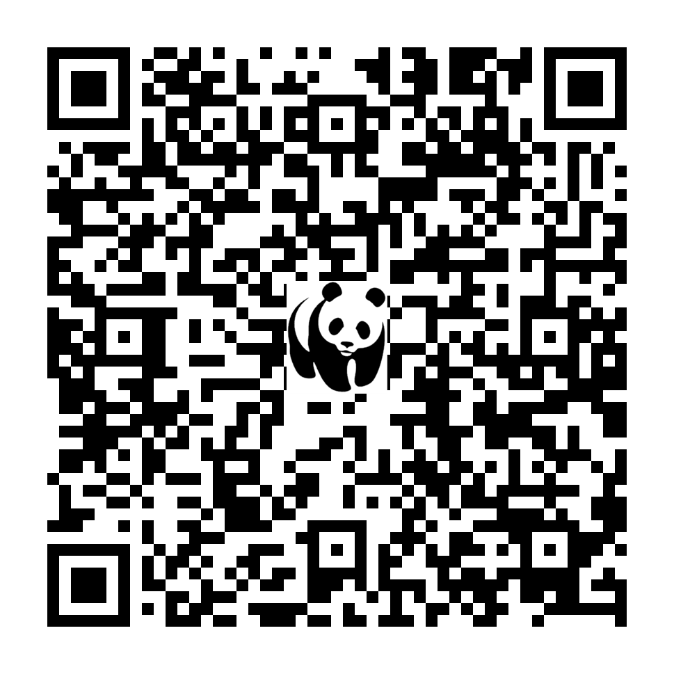Scan deze QR-code om te doneren (vernieuw de pagina als je geen QR-code ziet)