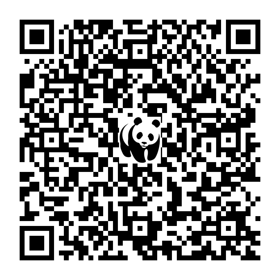Scan deze QR-code om te doneren (vernieuw de pagina als je geen QR-code ziet)