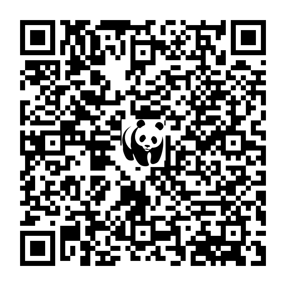 Scan deze QR-code om te doneren (vernieuw de pagina als je geen QR-code ziet)