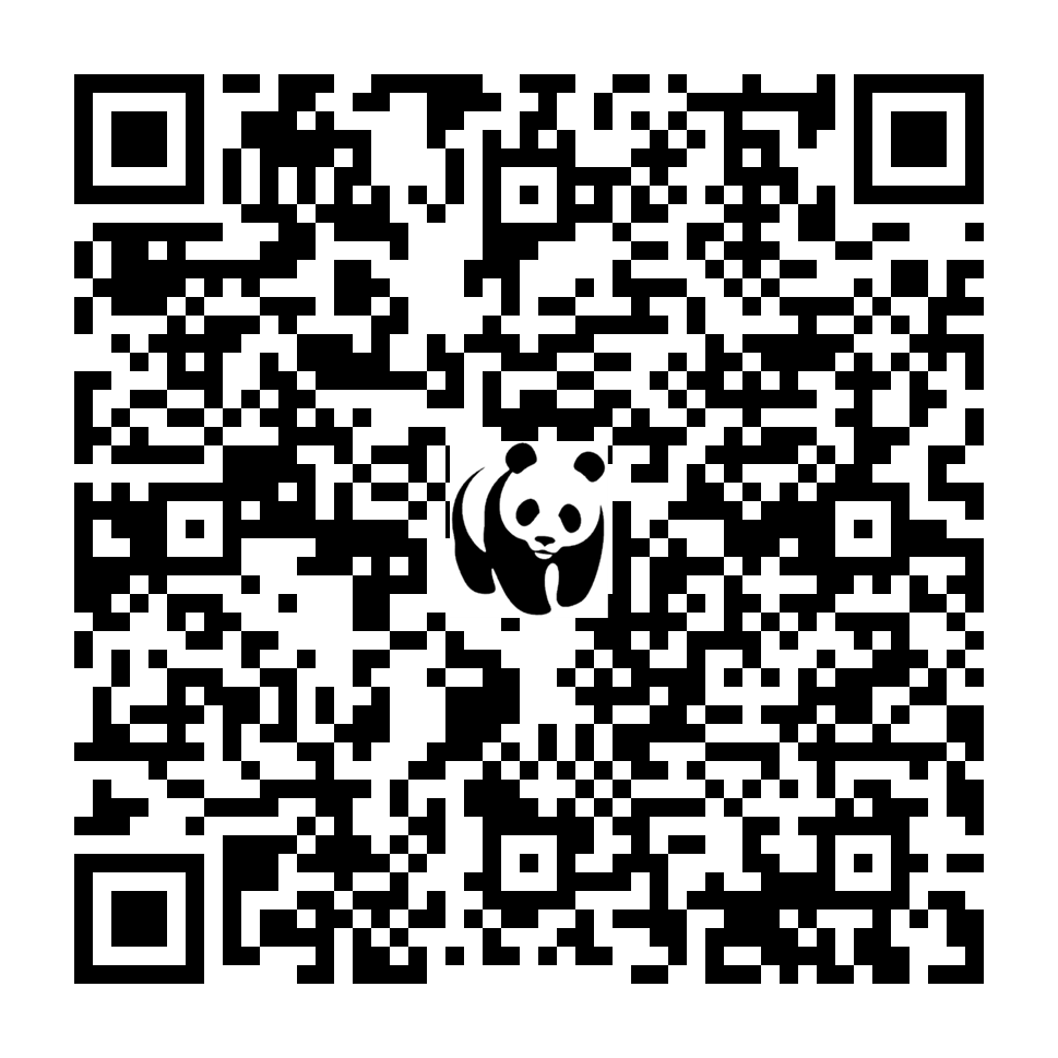 Scan deze QR-code om te doneren (vernieuw de pagina als je geen QR-code ziet)