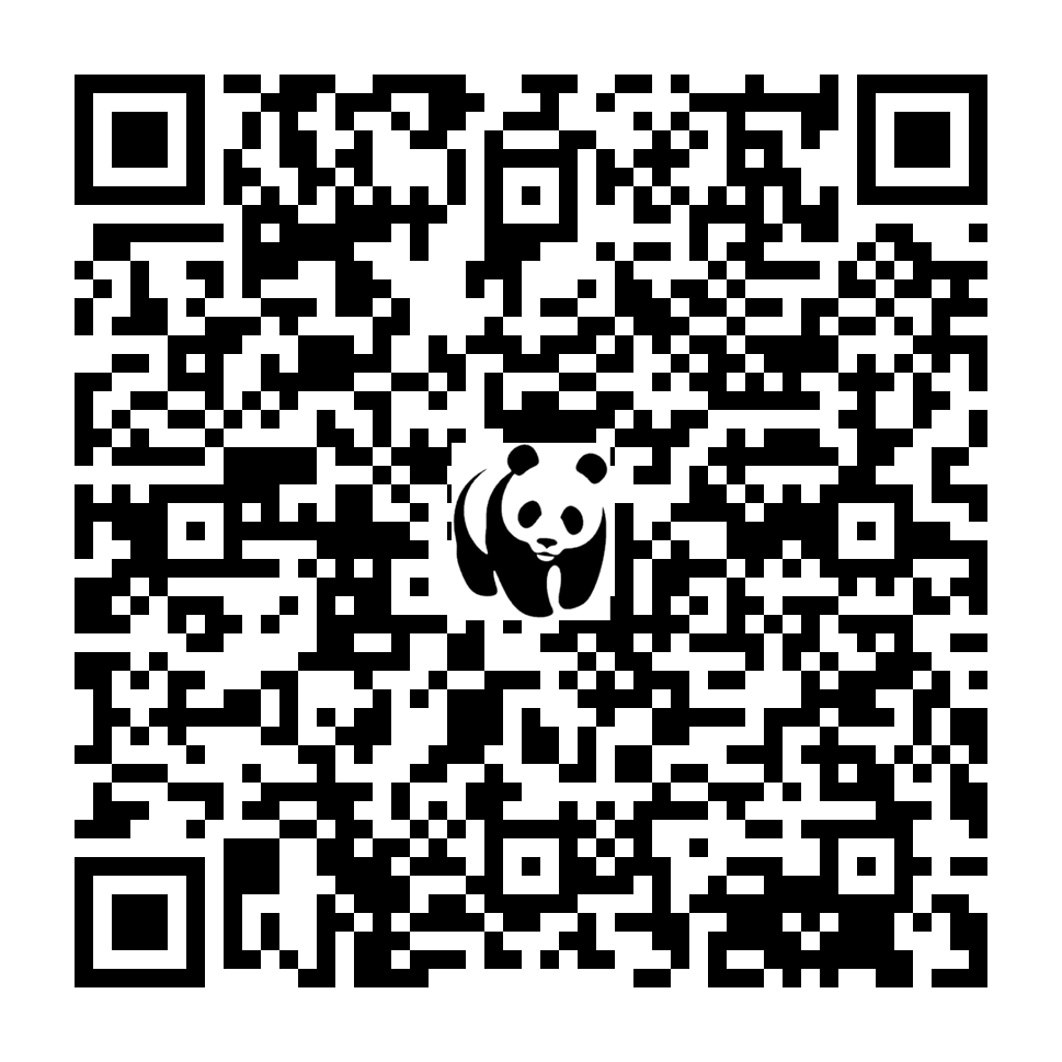 Scan deze QR-code om te doneren (vernieuw de pagina als je geen QR-code ziet)