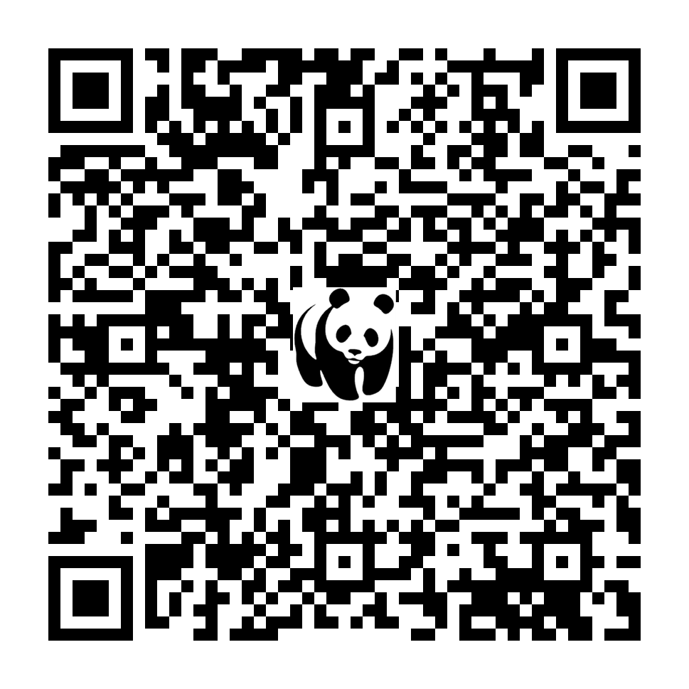 Scan deze QR-code om te doneren (vernieuw de pagina als je geen QR-code ziet)