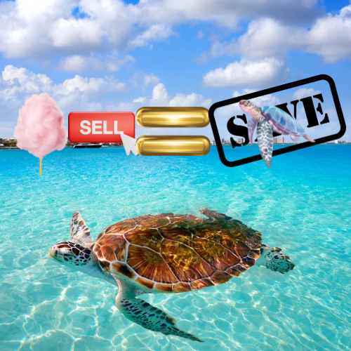 Op pad voor de schildpad 