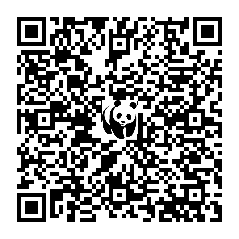 Scan deze QR-code om te doneren (vernieuw de pagina als je geen QR-code ziet)