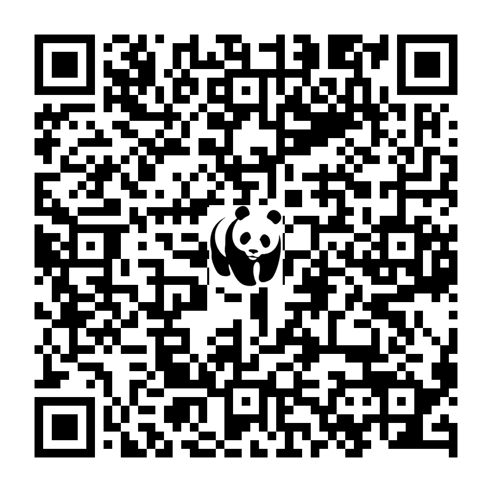 Scan deze QR-code om te doneren (vernieuw de pagina als je geen QR-code ziet)