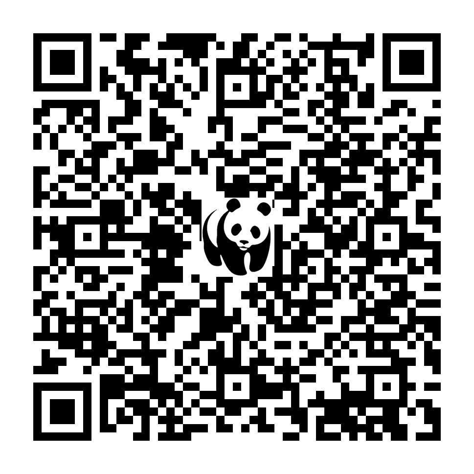Scan deze QR-code om te doneren (vernieuw de pagina als je geen QR-code ziet)