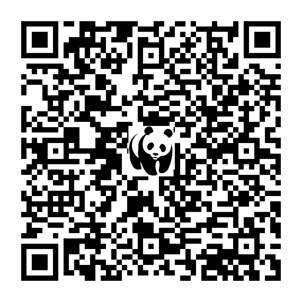 Scan deze QR-code om te doneren (vernieuw de pagina als je geen QR-code ziet)